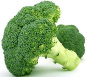 Cruciferous Vegetables - Broccoli