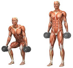 Maintain Muscle Mass By Exercising